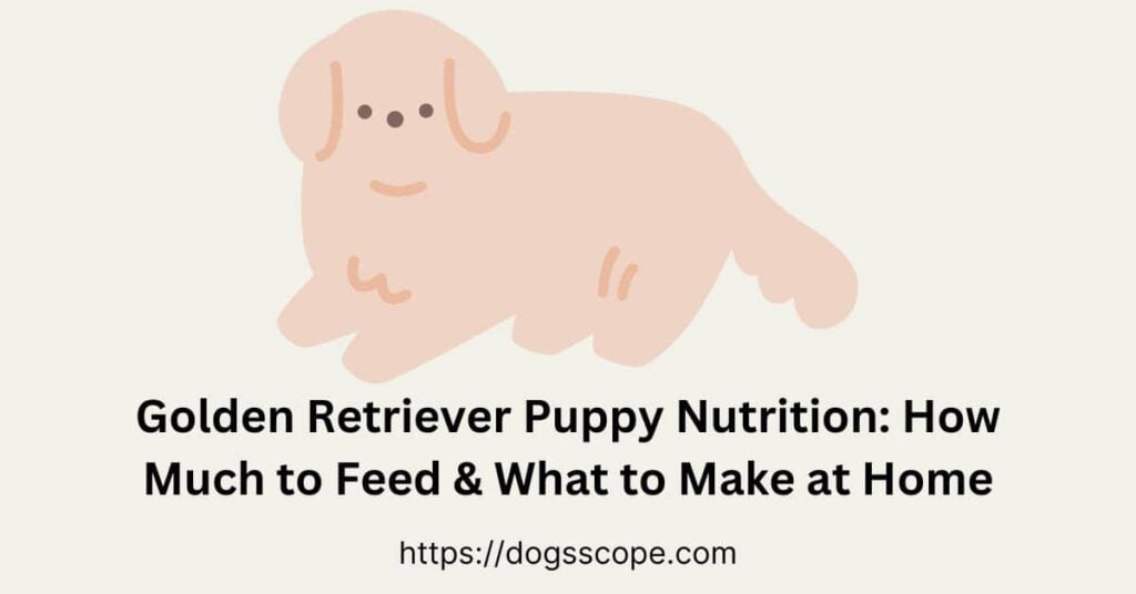 How Much To Feed A Golden Retriever Puppy