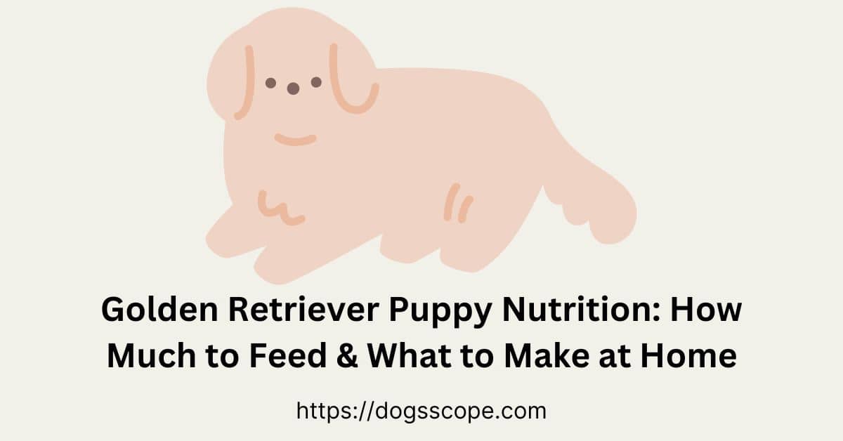 How Much To Feed A Golden Retriever Puppy (Food Chart & Homemade Food)