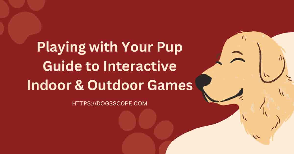 How To Play With A Dog? (Interactive Indoor And Outdoor Games List)