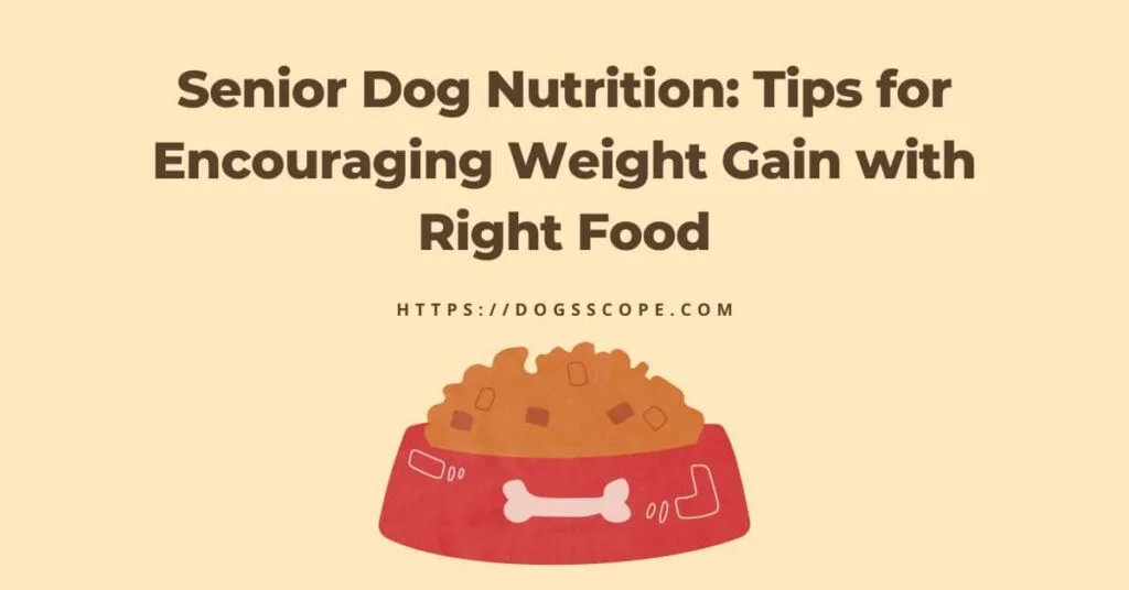 Encouraging Weight Gain In Senior Dogs With Dogfood