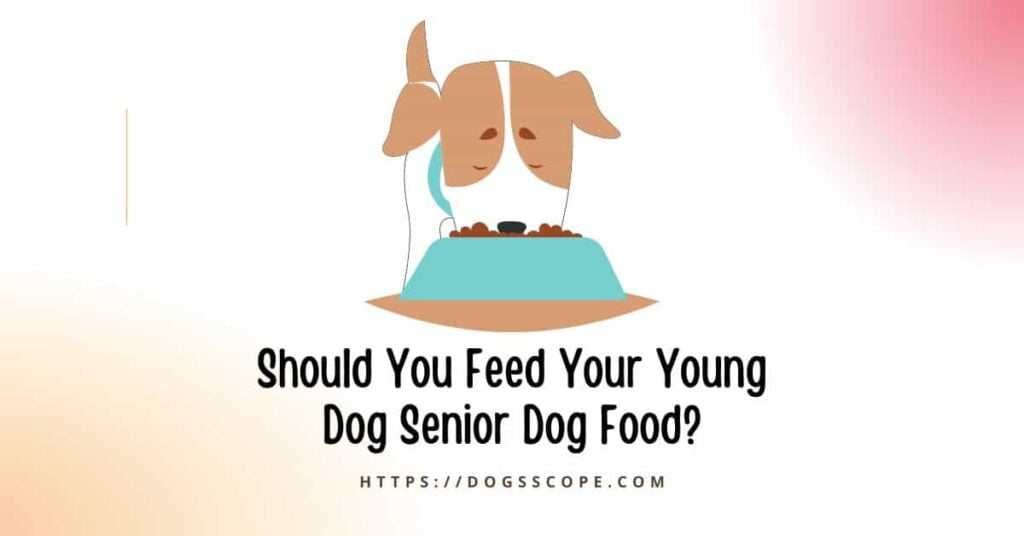Is Senior Dog Food Bad For Young Dogs