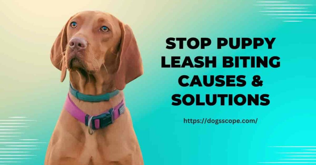 How to stop puppy from biting leash