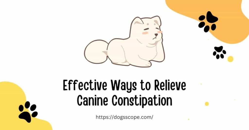 How to relieve constipation in dogs