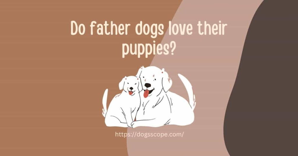 Do father dogs love their puppies