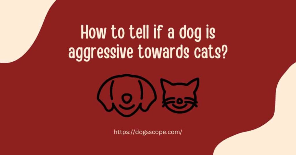 How to tell if a dog is aggressive towards cats-min