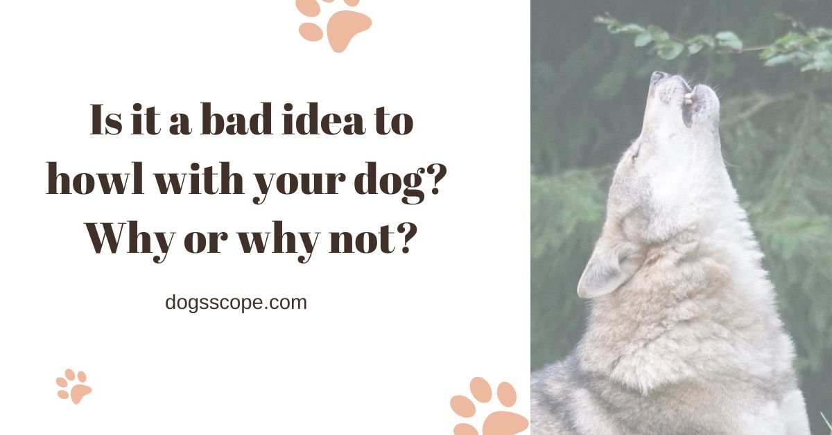 Is it a Bad Idea to Howl with Your Dog? Science & Sentiments Behind