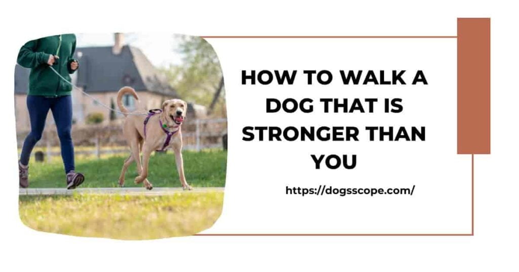 How to Walk a Dog That Is Stronger Than You