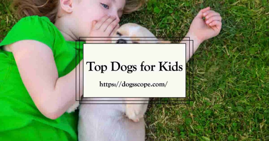 Best Dogs for Kids