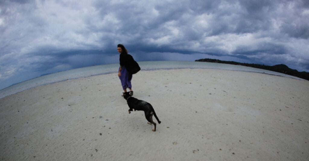 A woman walks her dog on a beach beneath a dramatic cloudy sky, capturing a serene moment.